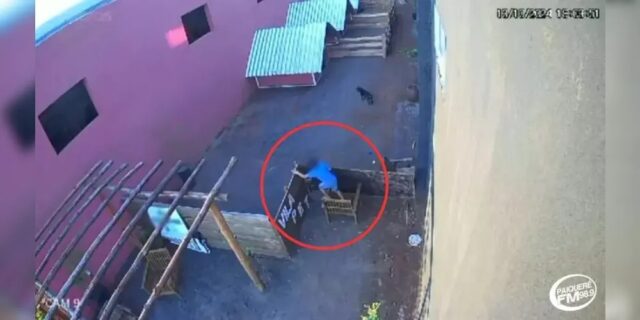 WhatsApp Image 2024-10-15 at 10.55.05