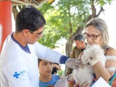 Vacinação para cães e gatos é ofertada em supermercados de Manaus nesta quinta e sexta; veja locais