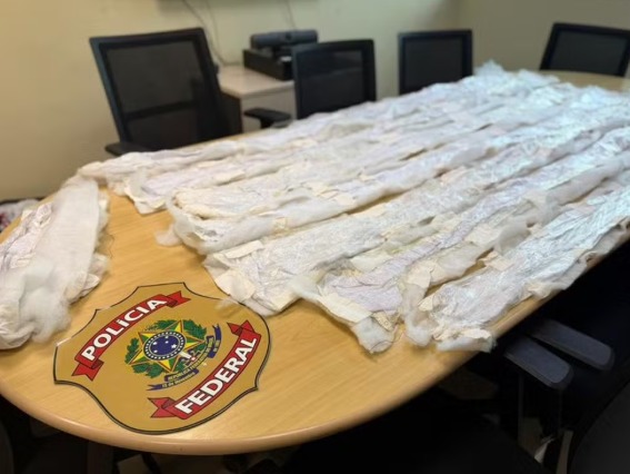 WhatsApp Image 2026-02-03 at 08.57.11