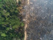 Amazonas concentra 8 das 10 terras indígenas mais desmatadas em 2025