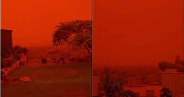 WhatsApp Image 2026-03-30 at 12.01.27