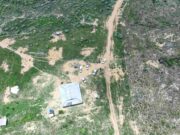 Desmatamento ilegal leva a R$ 5,4 milhões em multas a produtores no Amazonas