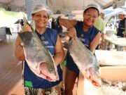 Feirão do Pescado em Manaus segue até sexta (3); veja horários e locais