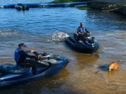 Capivara é morta com flechada na represa de Guarapiranga em SP