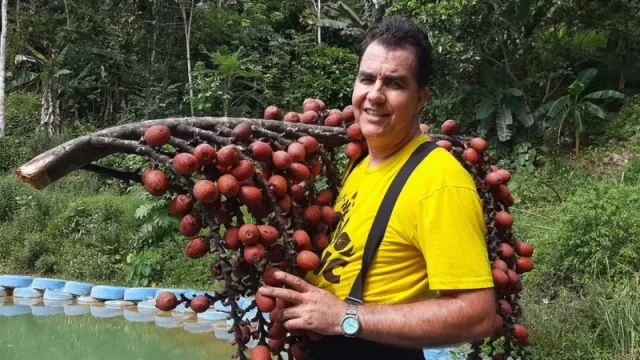 _122640159_img_20210522_095029.jpg O botânico Valdely , Kinupp segura um cacho de buriti, fruto típico da Amazônia e do Cerrado.