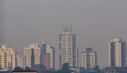 22CDD5C6-F995-4BC5-A787-2B78782D6745