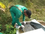 AM tem risco médio de infestação por Aedes aegypti e FVS alerta para prevenção