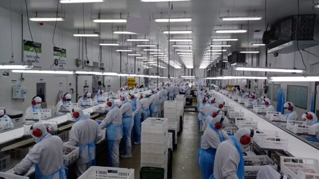 WhatsApp Image 2025-01-31 at 14.19.55