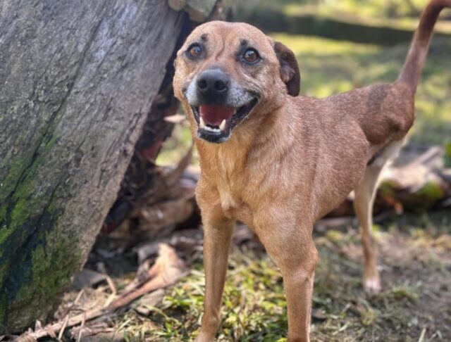 whatsapp-image-2025-09-21-at-21.48.33