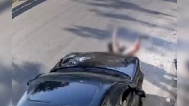 Conrado-Paulino-da-Rosa