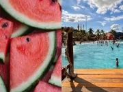 Prêmio em torneio de comer melancia que terminou em morte era batata frita