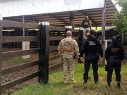 “Crime bárbaro”, diz Marina Silva sobre assassinato de funcionário do Ibama