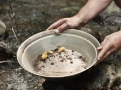 Licenças para garimpo com mercúrio não serão emitidas no Amazonas, diz Ipaam