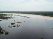 Cheia dos rios coloca Eirunepé e Boca do Acre em emergência e 10 cidades em alerta no Amazonas