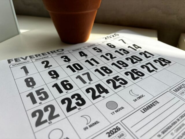 WhatsApp Image 2026-02-13 at 08.33.19