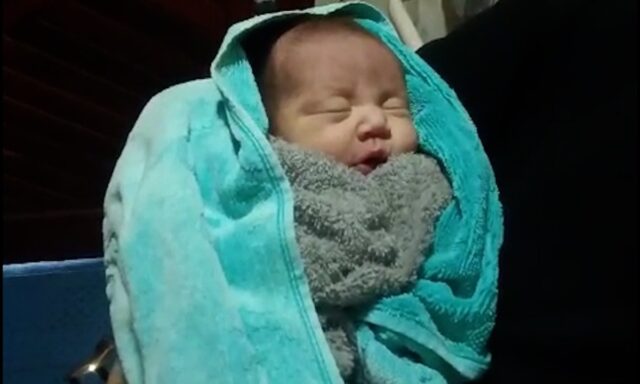 WhatsApp Image 2026-02-13 at 18.25.18