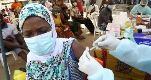 Vacina contra cepa do ebola na África pode demorar até 9 meses