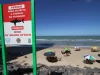 Vítimas de ataques de tubarão em PE têm membros amputados