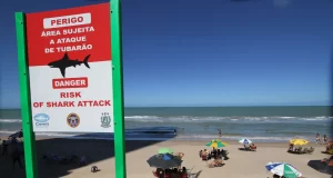 Vítimas de ataques de tubarão em PE têm membros amputados