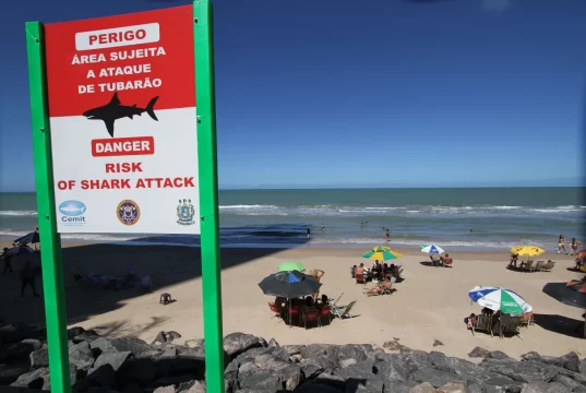 Vítimas de ataques de tubarão em PE têm membros amputados