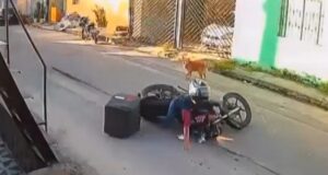 Concessionária de água é multada em R$ 279 mil após mulher sofrer acidente ao cair em buraco em rua de Manaus