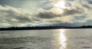 Ribeirinhos denunciam pesca ilegal no Rio Manacapuru no interior do AM