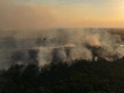 Incêndio florestal atinge trecho da BR-319 e mobiliza bombeiros há três dias