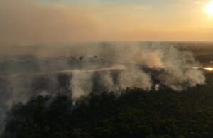 Incêndio florestal atinge trecho da BR-319 e mobiliza bombeiros há três dias