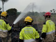 Incêndio florestal consome 700 hectares em Cacau Pirêra, distrito de Iranduba; Bombeiros suspeitam de crime ambiental
