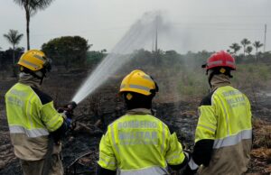 Incêndio florestal consome 700 hectares em Cacau Pirêra, distrito de Iranduba; Bombeiros suspeitam de crime ambiental
