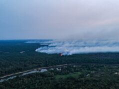 Incêndios colocam mais da metade das cidades do Amazonas em emergência; fumaça suspende aulas