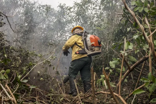 Incêdios no Amazonas resultam de ação humana intencional, diz ministro